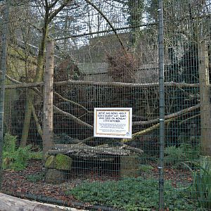 Former Geoffroy's cat enclosure