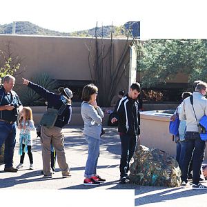 Line (queue) to get in