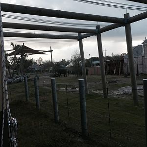 Asian Domain- New Asian Elephant Exhibit