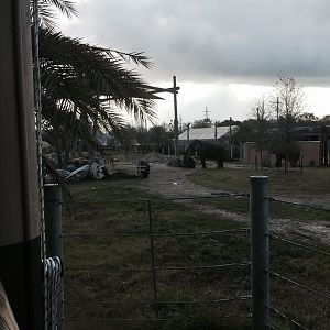 Asian Domain- New Asian Elephant Exhibit