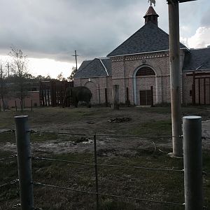 Asian Domain- New Asian Elephant Exhibit