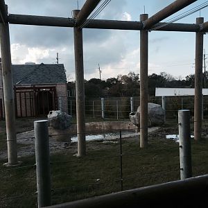 Asian Domain- New Asian Elephant Exhibit