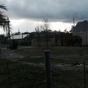 Asian Domain- New Asian Elephant Exhibit