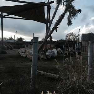 Asian Domain- New Asian Elephant Exhibit