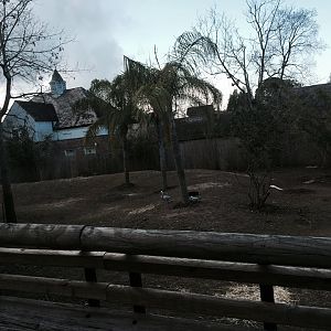 Asian Domain- Barashinga Deer