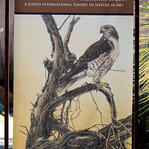 current gallery exhibition