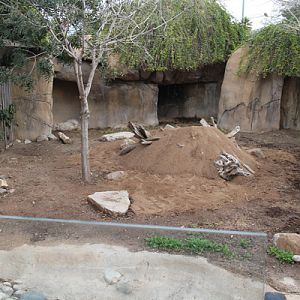 Former warty pig exhibit (unoccupied)