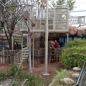New gibbon exhibit