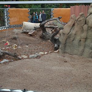 New meerkat exhibit (unoccupied)