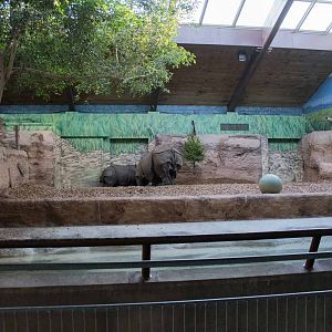 Indian Rhino Pavilion (Right Side)