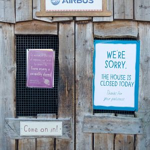 Tsavo Aviary Closed - 29/12/2016