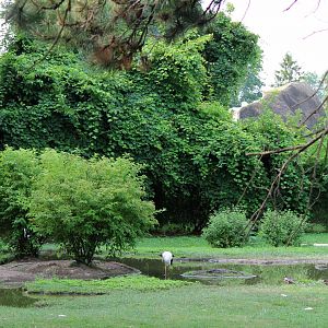 Detroit Zoo - American Grassland - Summer, 2016