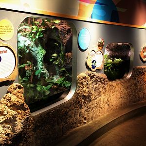 Detroit Zoo - Amphibianville - Summer, 2016