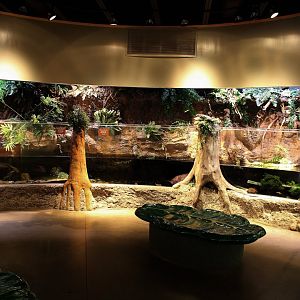 Detroit Zoo - Amphibianville - Summer, 2016