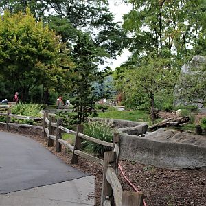 Detroit Zoo - Giant Anteater habitat - Summer, 2016