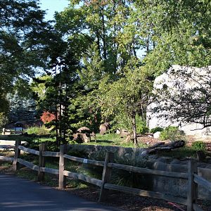 Detroit Zoo - Giant Anteater habitat - Summer, 2016)