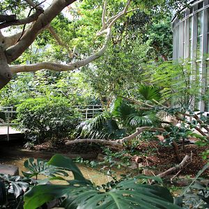 Detroit Zoo - Aviary - Summer, 2016
