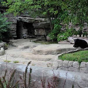 Detroit Zoo - Bear Dens - Summer, 2016