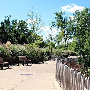 Detroit Zoo - Bear Dens - Summer, 2016