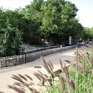 Detroit Zoo - Bear Dens - Summer, 2016