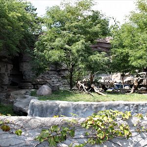 Detroit Zoo - Bear Dens - Summer, 2016
