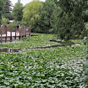Detroit Zoo - Boardwalk - Summer, 2016