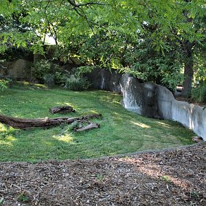 Detroit Zoo - Bush Dog habitat - Summer, 2016