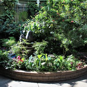 Detroit Zoo - Butterfly Garden (Indoor) - Summer, 2016