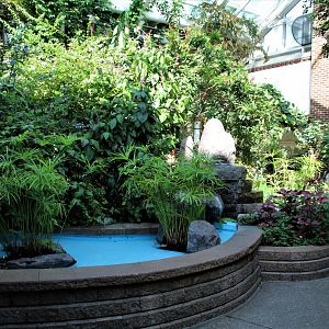 Detroit Zoo - Butterfly Garden (Indoor) - Summer, 2016