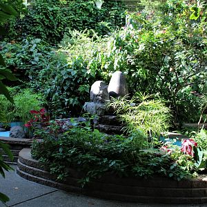 Detroit Zoo - Butterfly Garden (Indoor) - Summer, 2016