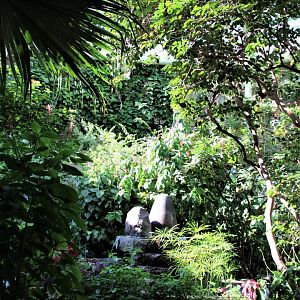 Detroit Zoo - Butterfly Garden (Indoor) - Summer, 2016