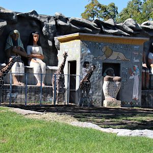 Detroit Zoo - Giraffe Enclosure - Summer, 2016