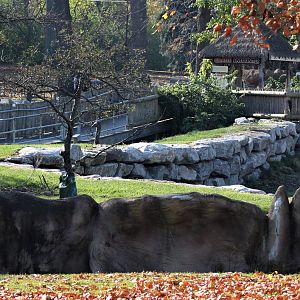 Detroit Zoo - Giraffe Enclosure - Summer, 2016