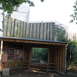 Clouded leopard enclosure