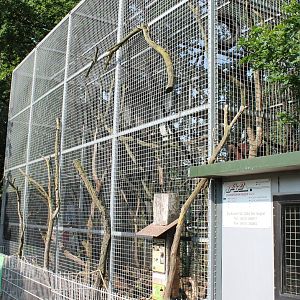Enclosure Coati