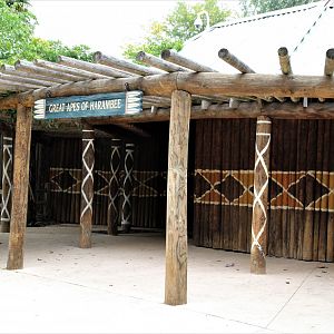 Detroit Zoo - Great Apes of Harambee - Summer/Fall, 2016