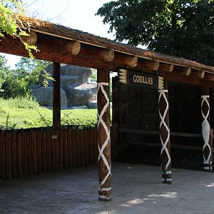 Detroit Zoo - Great Apes of Harambee - Summer/Fall, 2016