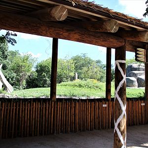 Detroit Zoo - Great Apes of Harambee - Summer/Fall, 2016