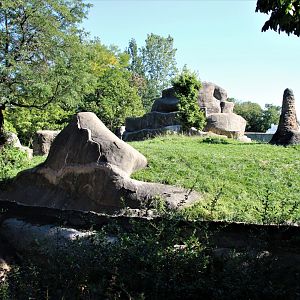 Detroit Zoo - Great Apes of Harambee - Summer/Fall, 2016