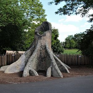 Detroit Zoo - Great Apes of Harambee - Summer/Fall, 2016