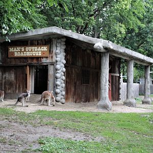 Detroit Zoo - Australian Outback Adventure - Summer, 2016