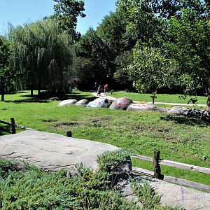Detroit Zoo - Australian Outback Adventure - Summer, 2016