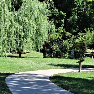 Detroit Zoo - Australian Outback Adventure - Summer, 2016