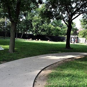 Detroit Zoo - Australian Outback Adventure - Summer, 2016