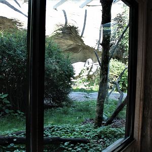 Detroit Zoo - Lemur enclosure - Summer, 2016