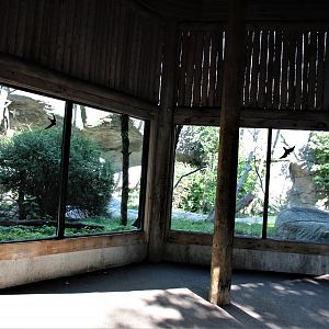 Detroit Zoo - Lemur enclosure - Summer, 2016