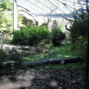 Detroit Zoo - Lemur enclosure - Summer, 2016