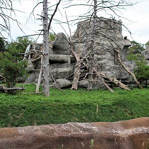 Detroit Zoo - Japanese Macaque habitat - Summer, 2016