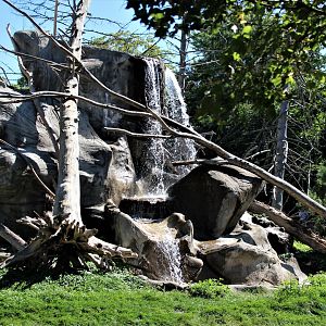 Detroit Zoo - Japanese Macaque habitat - Summer, 2016