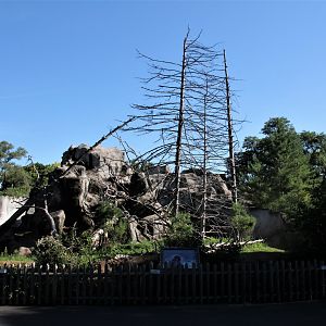 Detroit Zoo - Japanese Macaque habitat - Summer, 2016